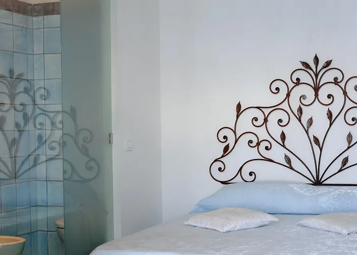 Fattoria La Tagliata Bed & Breakfast Positano photo